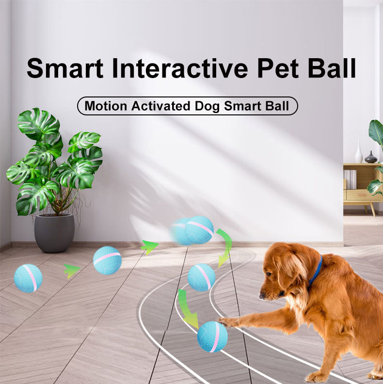 Dogs Electric Dog Ball