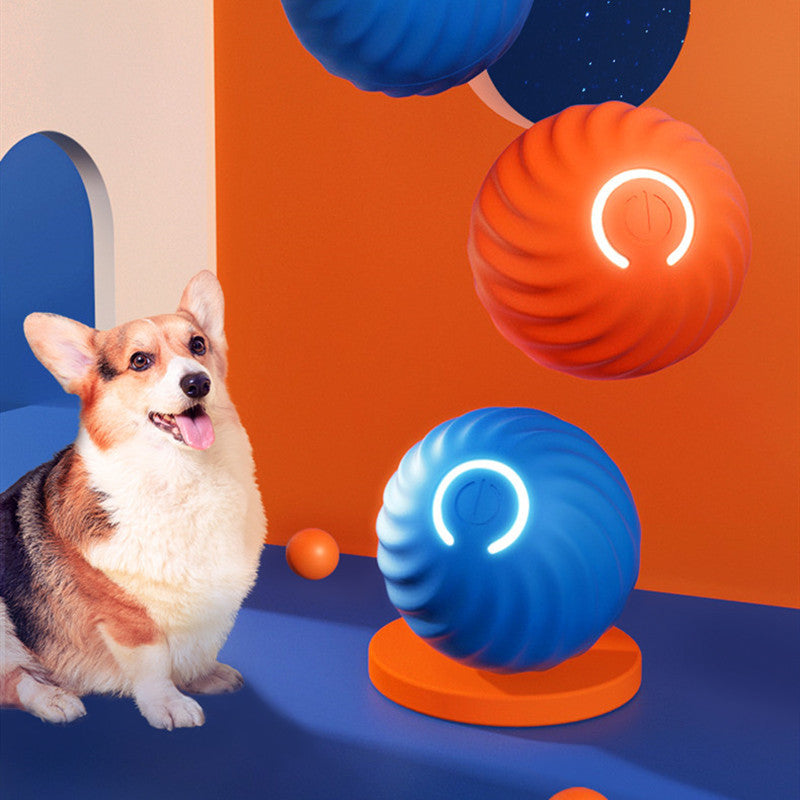 Dog Toys