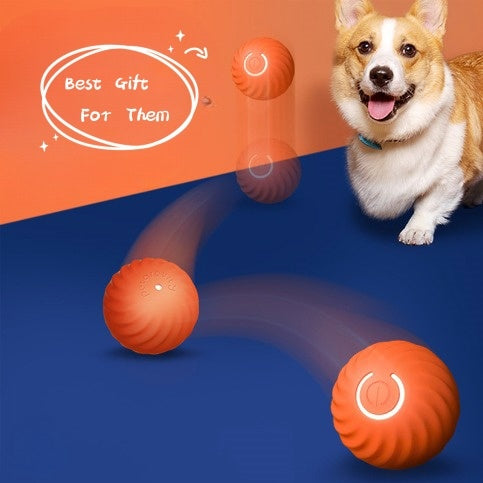 Dog Pet Rubber Ball Toy