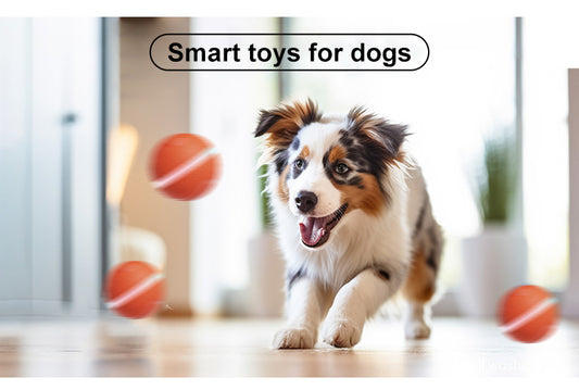 Dogs Electric Dog Ball