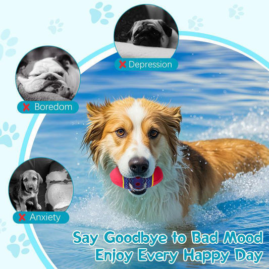 Easter Egg Toys For Dogs, Design For Aggressive Chewers